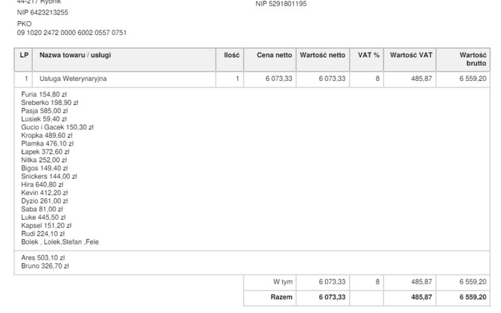 Zbiórka Za leczenie zwierząt w marcu - zdjęcie główne
