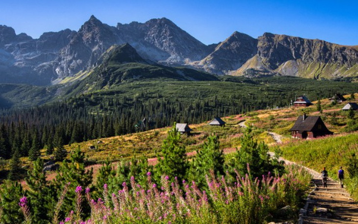 Zbiórka Wymarzona wycieczka w góry - zdjęcie główne
