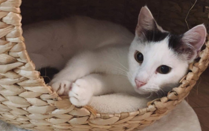 Zbiórka Aluś - mały wojownik - zdjęcie główne