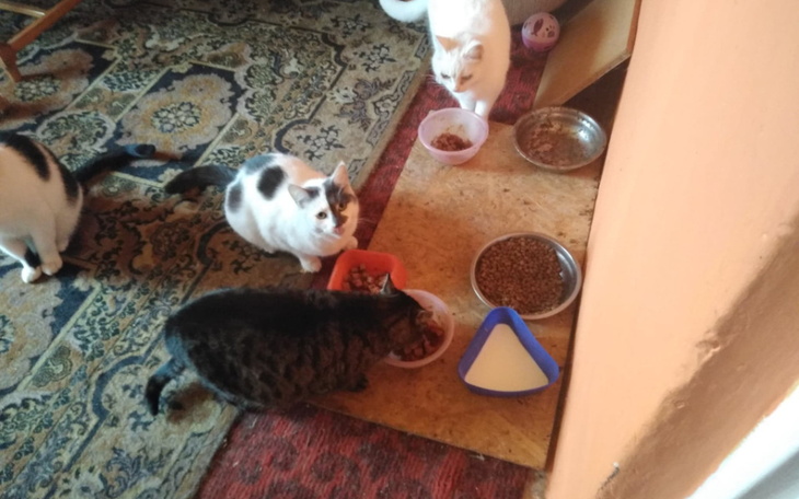 Zbiórka zapas karmy - zdjęcie główne