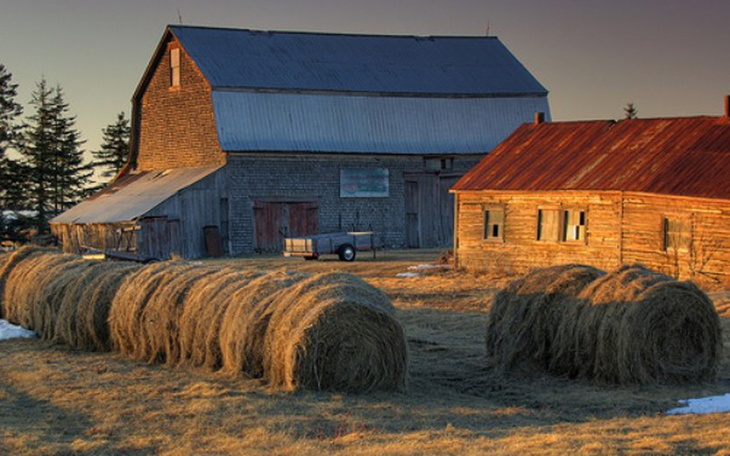 Zbiórka Moje Marzenie Gospodarstwo Rolne - zdjęcie główne