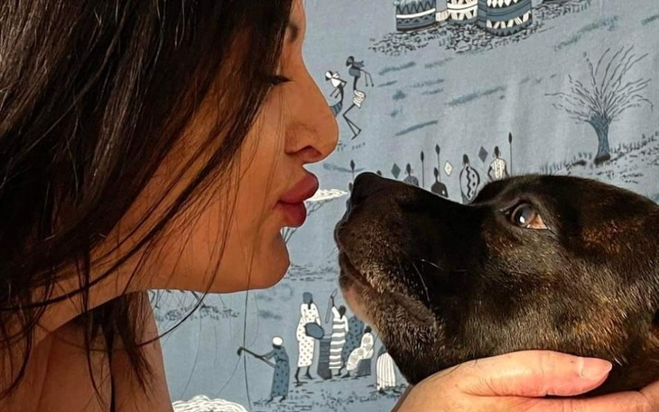 Zbiórka Na bieżące opłaty i czynsz - zdjęcie główne