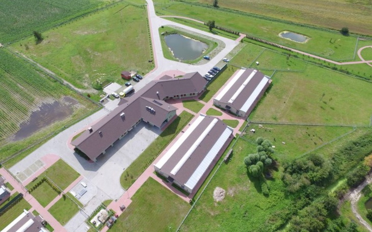 Zbiórka Dla schroniska w Skałowie - zdjęcie główne