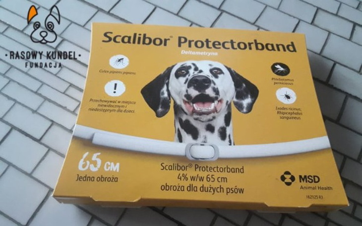 Zbiórka Mówimy NIE kleszczom! - zdjęcie główne