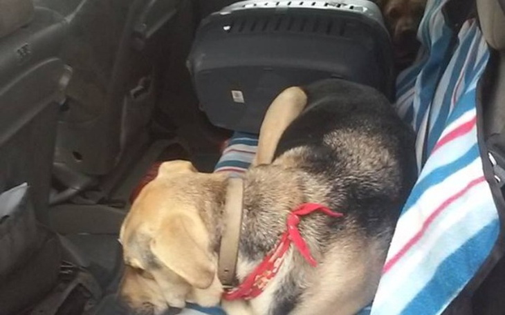 Zbiórka Zbiórka na naprawę auta - zdjęcie główne