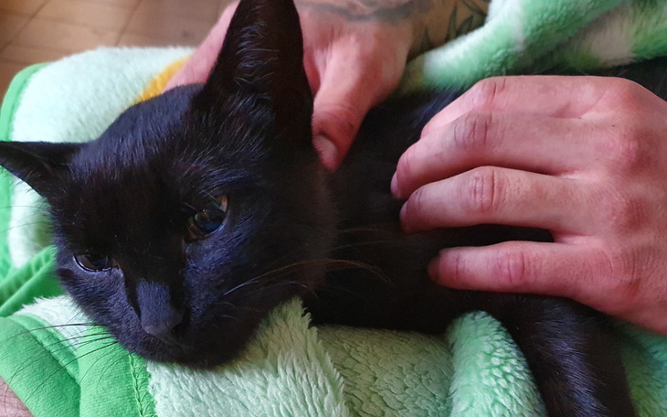 Zbiórka 24 godziny na ratunek Filemonce - zdjęcie główne