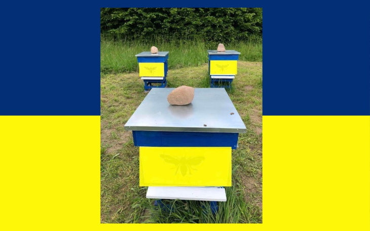 Zbiórka Pszczelarstwo w Ukrainie - zdjęcie główne