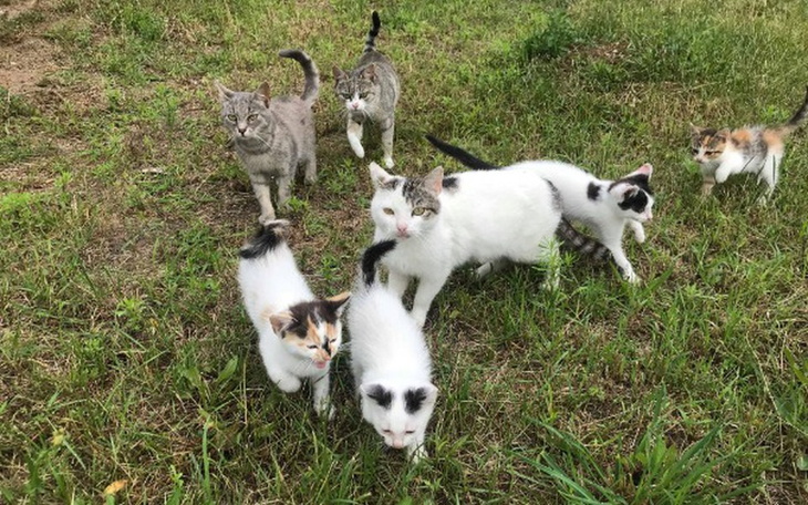 Zbiórka To dzieje sie ,,za płotem,, - zdjęcie główne