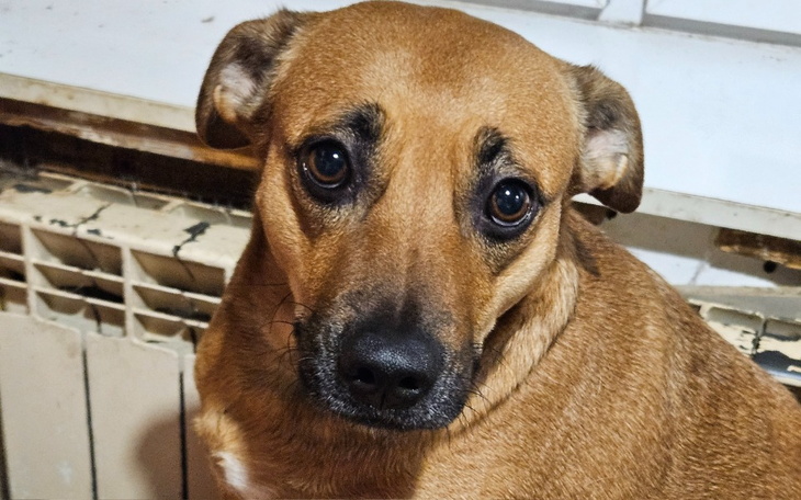 Zbiórka Prąd dla bezdomnych seniorów - zdjęcie główne