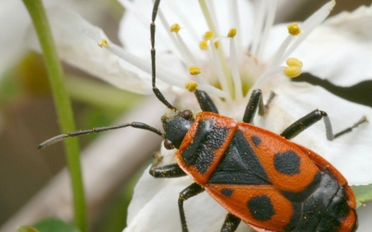 Zbiórka Pozew dla sieci handlowej - zdjęcie główne