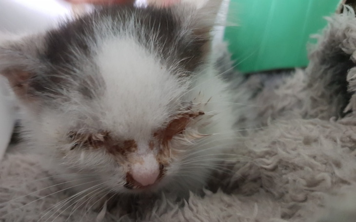 Zbiórka Otwarcie kotełowego sezonu - - zdjęcie główne