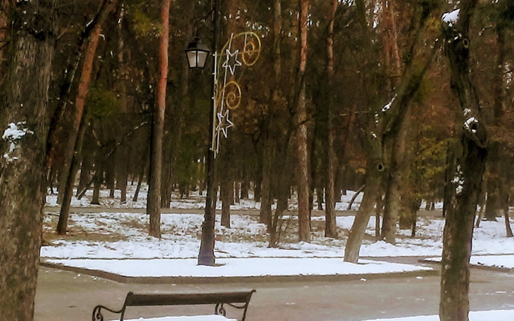 Zimowy park z latarnią i śniegiem na ziemi.