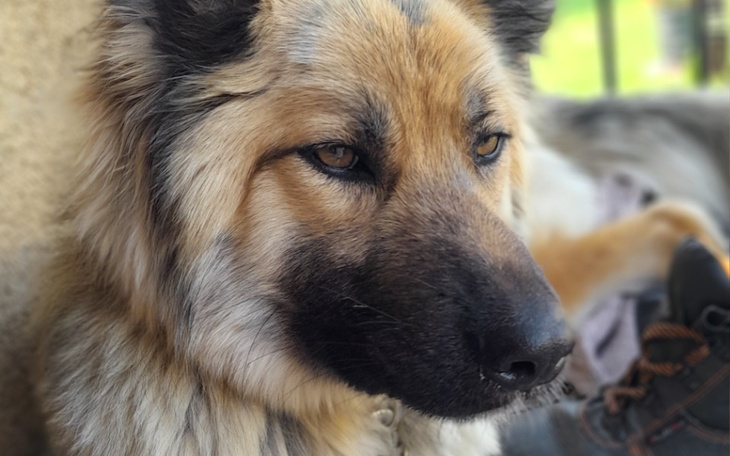 Zbiórka Hera walczy z chorobą - zdjęcie główne