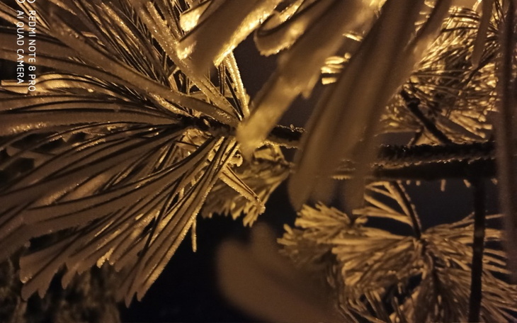 Zbiórka Zbieram na zegarek i ipada - zdjęcie główne