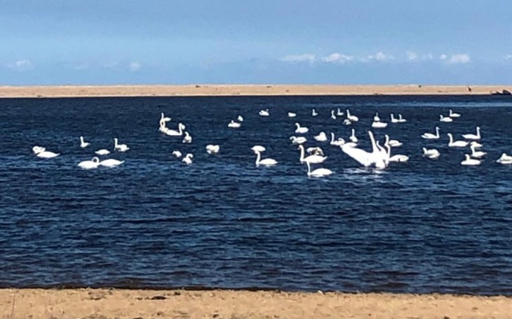 Zbiórka Ratowanie zdrowia koleżanki - zdjęcie główne