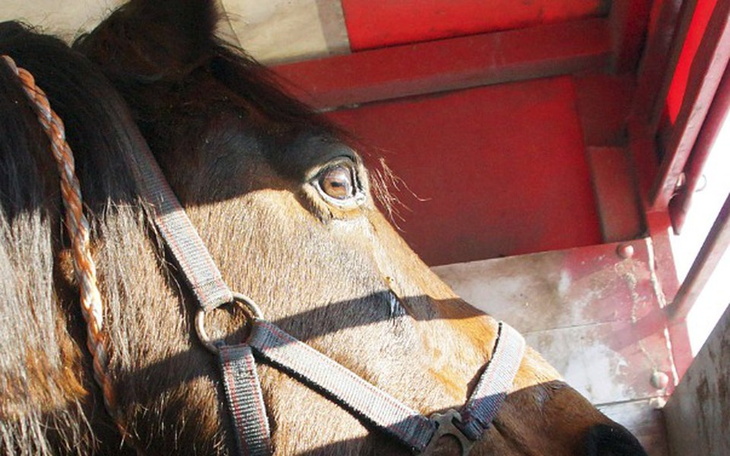 Zbiórka Skaryszew - ostatni przystanek - zdjęcie główne