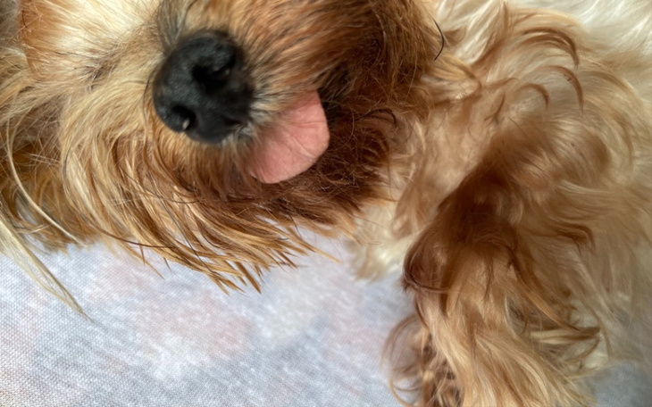 Zbiórka Pusindka - zdjęcie główne