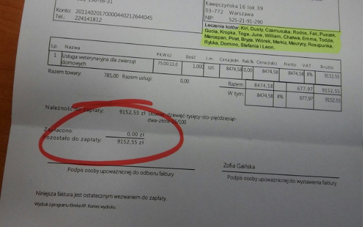 Zbiórka Leczenie 25 chorych zwierzaków - zdjęcie główne