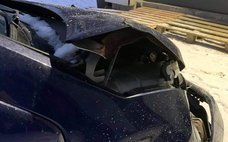 Zbiórka Ratunek dla cytrynki - zdjęcie główne