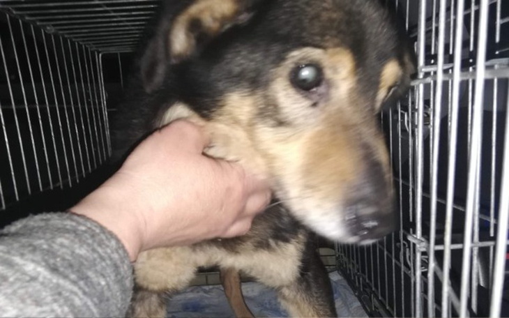 Zbiórka Gniła w maleńkim kojcu latami - zdjęcie główne