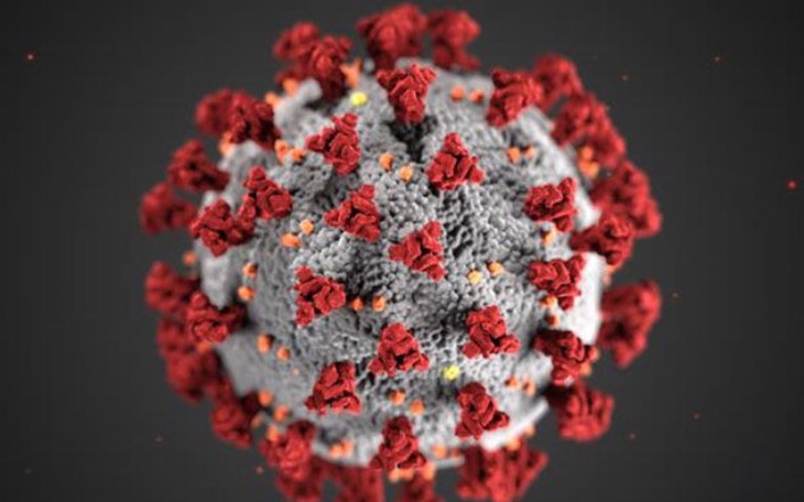 Zbiórka Środki na życie w dobie pandemii - zdjęcie główne