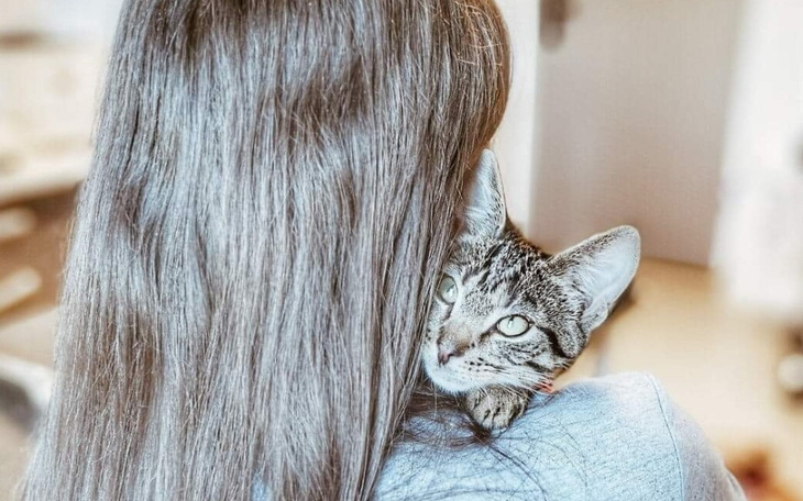 Zbiórka Spłacić długi za ich życie...... - zdjęcie główne