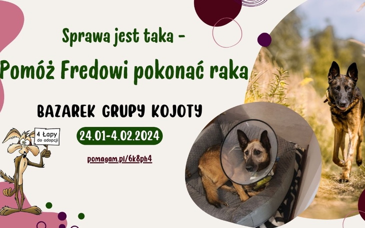 Zbiórka Pomóż Fredowi i Romeo wyzdrowieć - zdjęcie główne