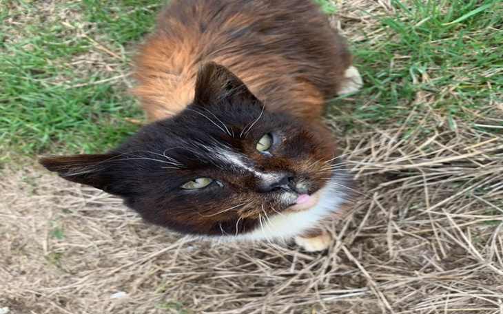 Zbiórka Wędrówka po życie - zdjęcie główne