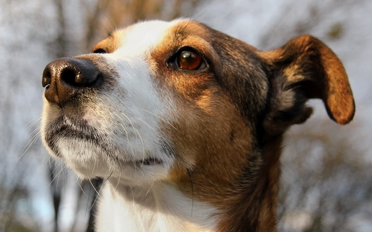 Zbiórka Na walkę Robina z chłoniakiem - zdjęcie główne