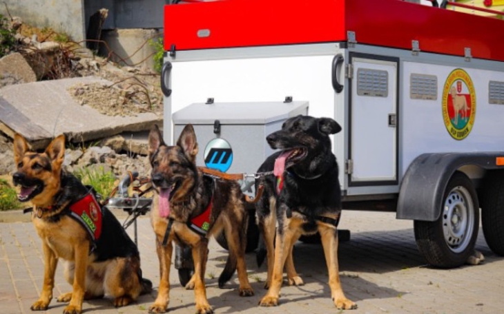 Trzy psy ratunkowe w kamizelkach, stojące obok wózka.