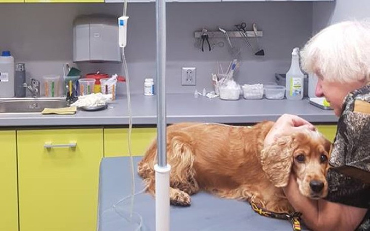 Zbiórka Kokta walczy z ropomaciczem! - zdjęcie główne