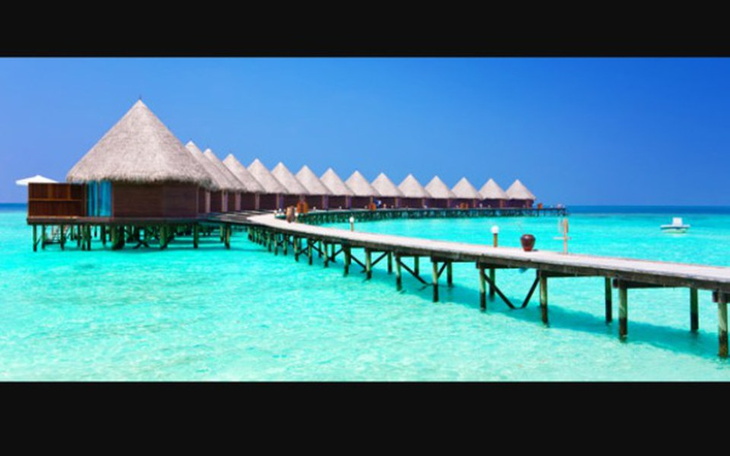 Zbiórka Wymarzone wakacje po ślubie 😊 - zdjęcie główne