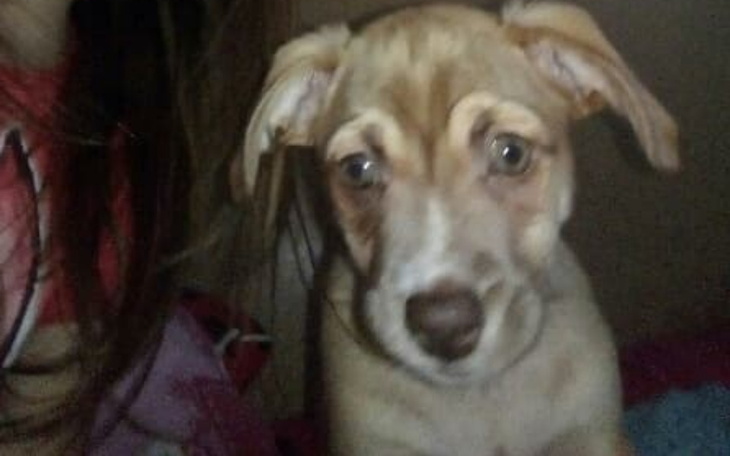 Zbiórka Szchanti Lu - zdjęcie główne