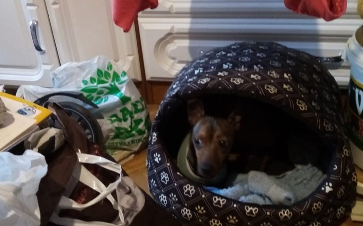 Zbiórka Środki na remont lub na bruk - zdjęcie główne