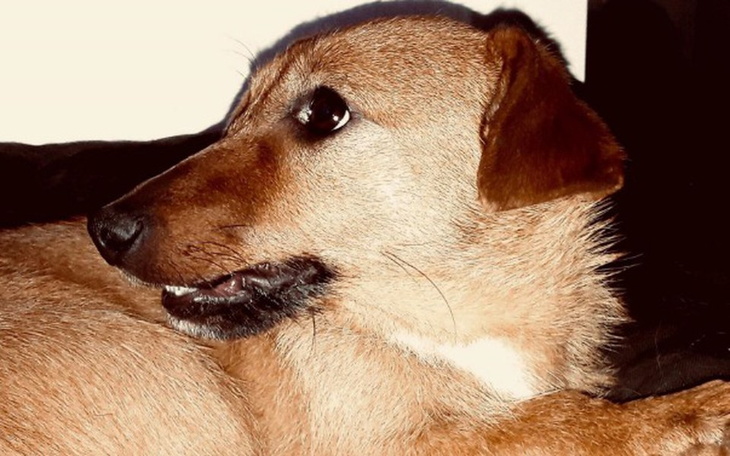 Zbiórka Dziecko ulicy z pękniętą żuchwą - zdjęcie główne