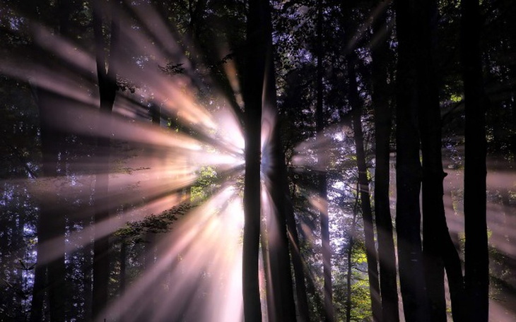 Zbiórka Wymarzone wakacje WŁASNYM AUTEM - zdjęcie główne