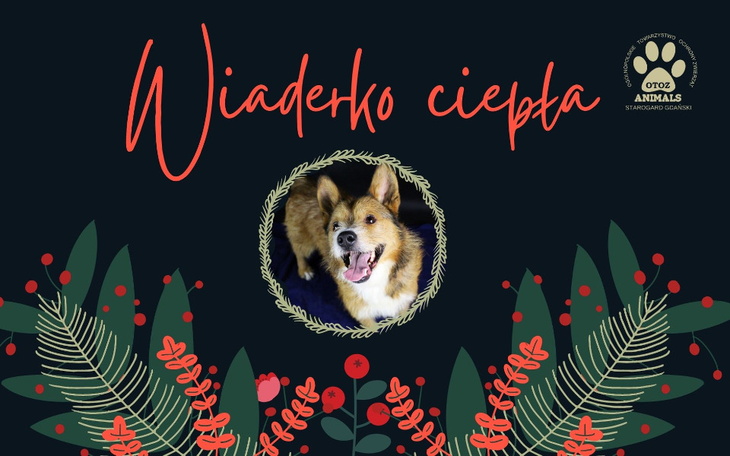 Zbiórka Wiaderko ciepła - zdjęcie główne