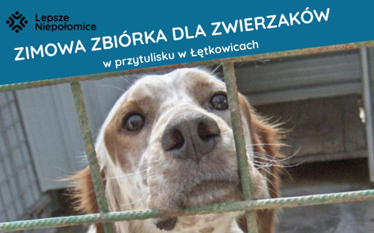 Pies w klatce, zachęcający do wsparcia zbiórki dla zwierząt.