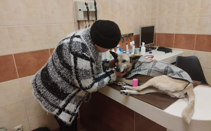 Zbiórka Ratujemy życie i zdrowie LORI - zdjęcie główne