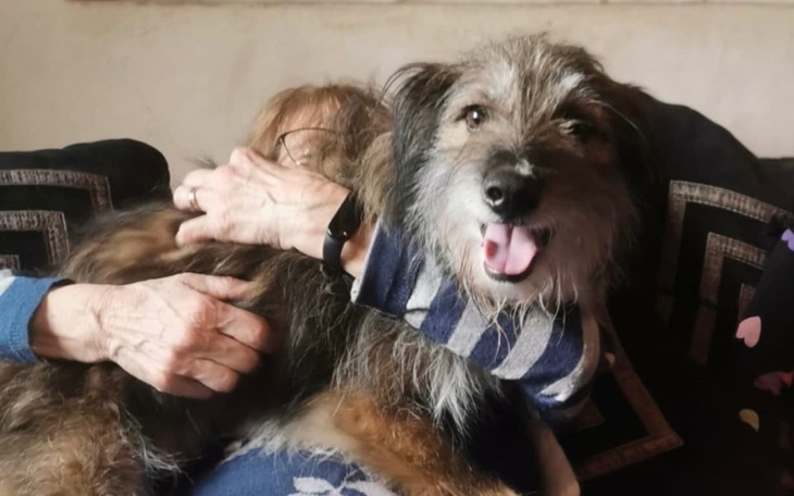 Pies w objęciach właściciela, szczęśliwy i uśmiechnięty.