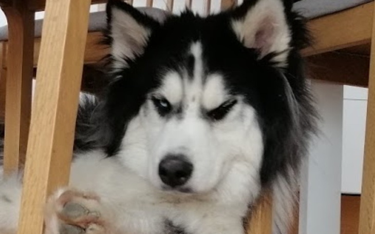 Zbiórka na chopki rowerowe - zdjęcie główne