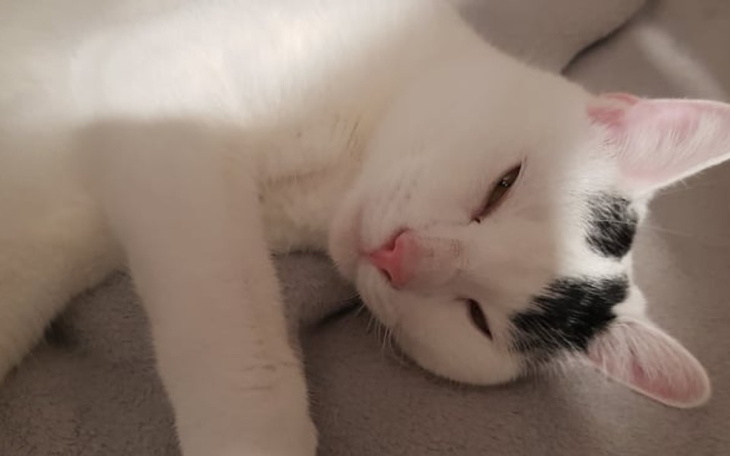 Zbiórka Walczymy o Tiko - zdjęcie główne