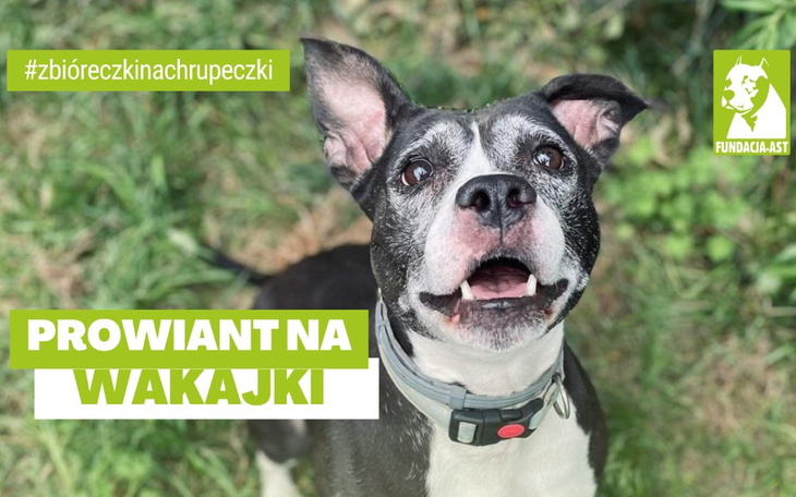 Zbiórka Prowiant na wakajki - zdjęcie główne