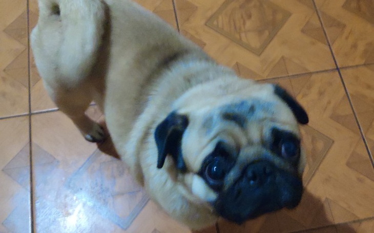 Zbiórka pomoc przyjacielowi z rakiem - zdjęcie główne