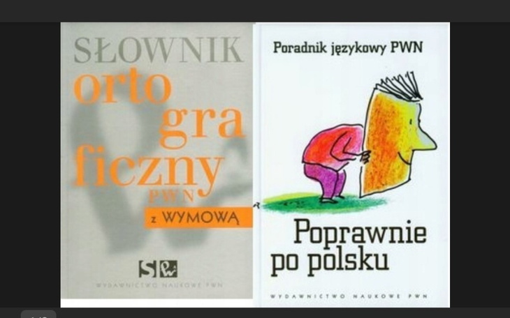 Zbiórka Słownik dla andzeja - zdjęcie główne