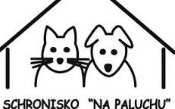 Zbiórka Pomoc dla schroniska na paluchu - zdjęcie główne