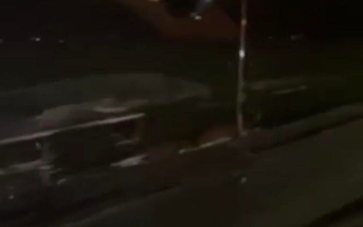 Zbiórka na naprawę leona - zdjęcie główne