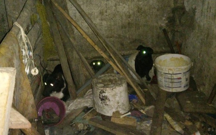 Zbiórka Zamknięte w ciemnej komórce... - zdjęcie główne