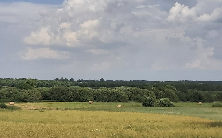 Zbiórka Pomoż mi stanąć na nogach - zdjęcie główne