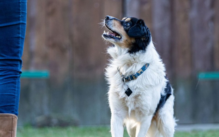 Zbiórka Ślepy los - zdjęcie główne